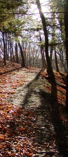 John bull beer recipes