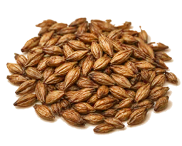 Caramel malt grains