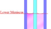 Diagram showing the meniscus level on a hydrometer