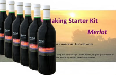 Stonehelm Deluxe Wine Making Starter Kit: Merlot