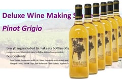 Stonehelm Deluxe Wine Making Starter Kit: Pinot Grigio
