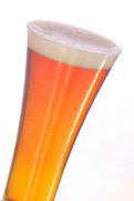 Beer Glass