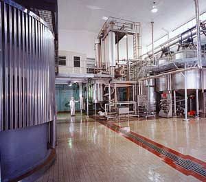 Muntons Factory