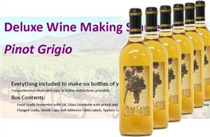 Stonehelm Deluxe Wine Making Starter Kit: Pinot Grigio