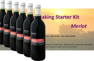 Stonehelm Deluxe Wine Making Starter Kit: Merlot