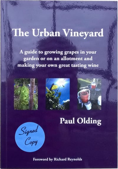 The Urban Vineyard